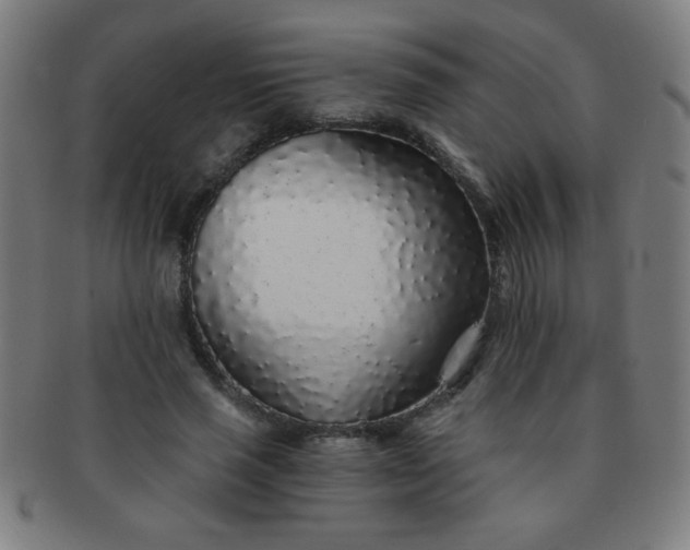 X0000091340637200708241224