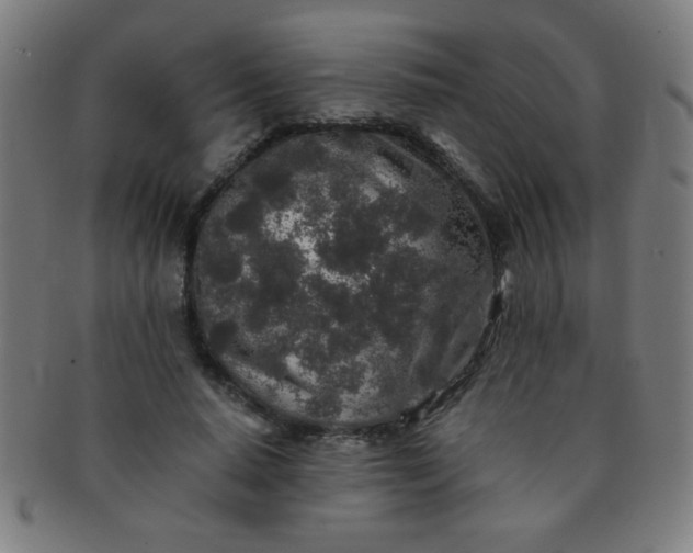 X0000091340640200708241224