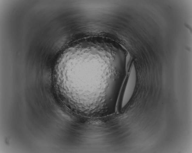 X0000091340642200708241224