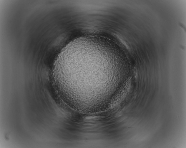 X0000091340643200708241224