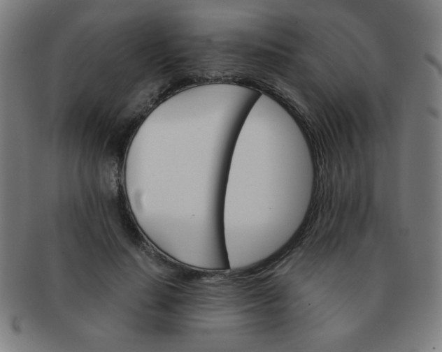 X0000091340644200708241224