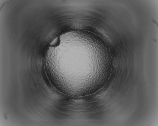 X0000091340645200708241224