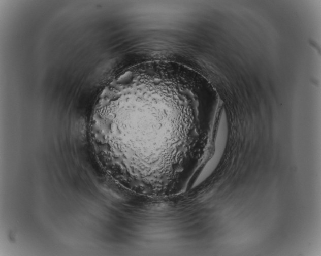 X0000091340646200708241224