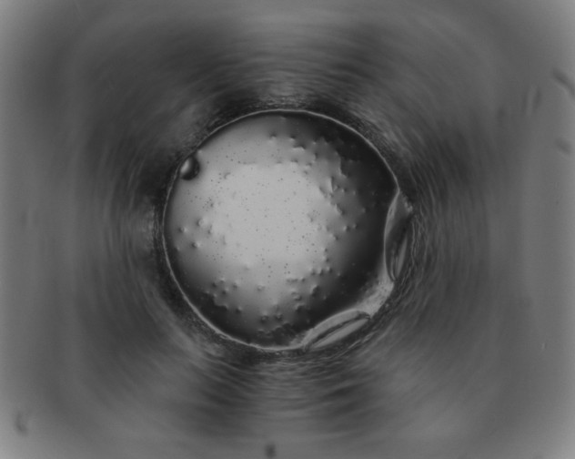 X0000091340647200708241224