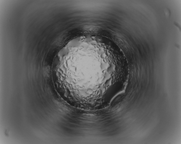 X0000091340649200708241224