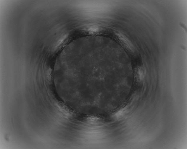 X0000091340650200708241224