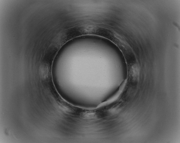 X0000091340651200708241224