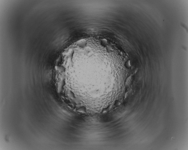 X0000091340652200708241224