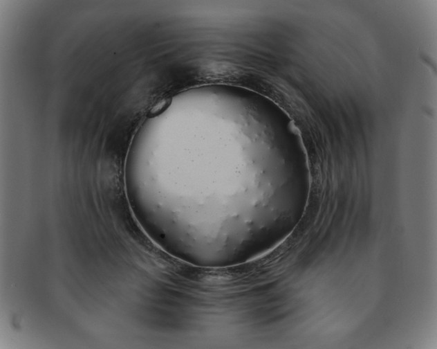 X0000091340653200708241224