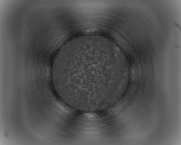 X0000091340654200708241224