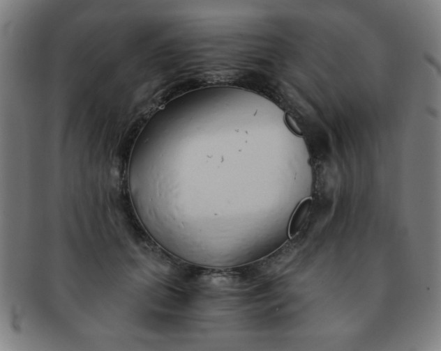 X0000091340655200708241224