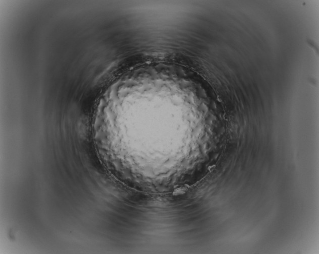 X0000091340656200708241224