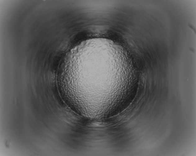 X0000091340657200708241224