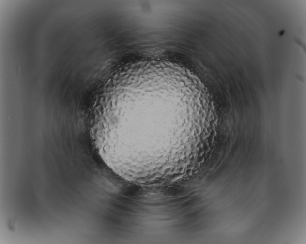 X0000091340658200708241224