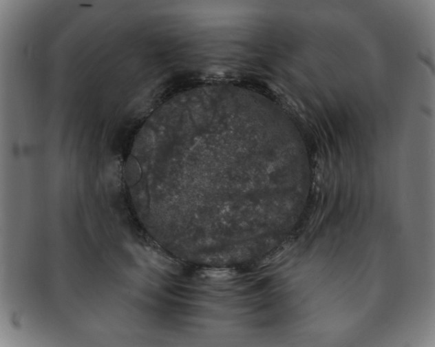 X0000091340659200708241224