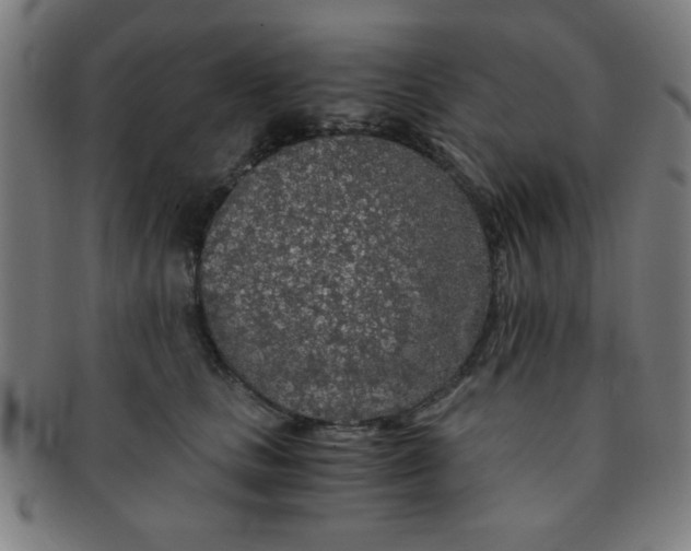 X0000091340661200708241224