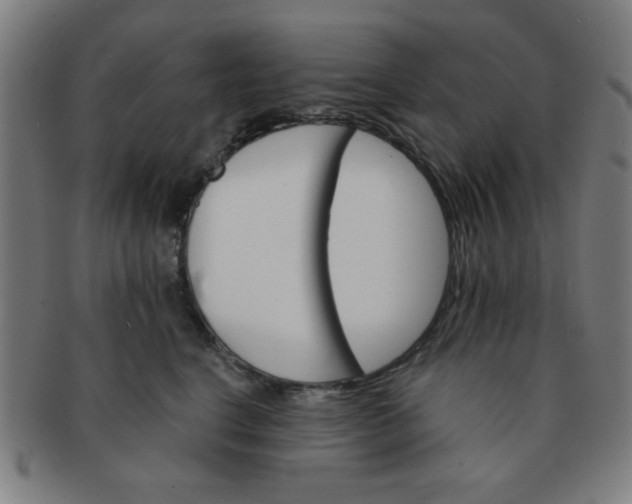 X0000091340664200708241224