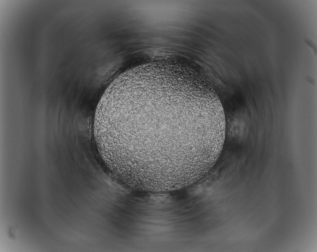 X0000091340666200708241224