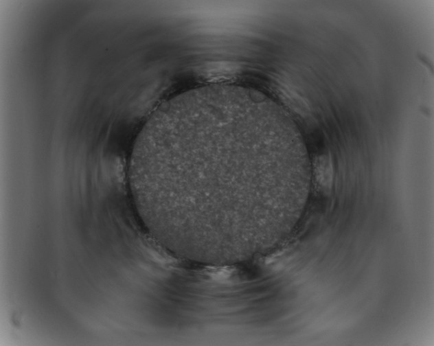 X0000091340667200708241224