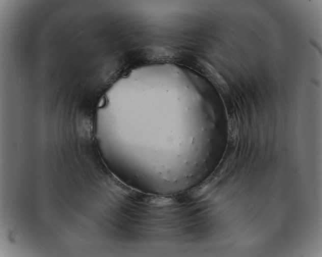 X0000091340669200708241224