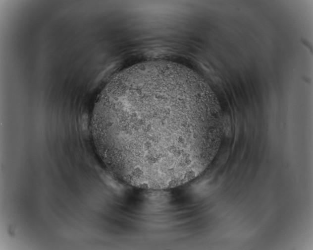 X0000091340670200708241224