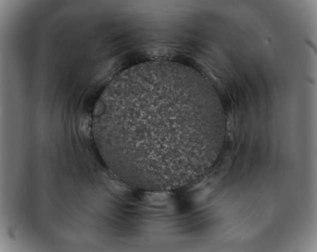 X0000091340671200708241224