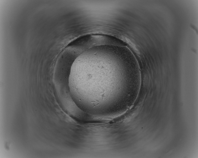 X0000091340673200708241223