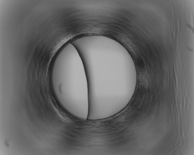 X0000091340674200708241223