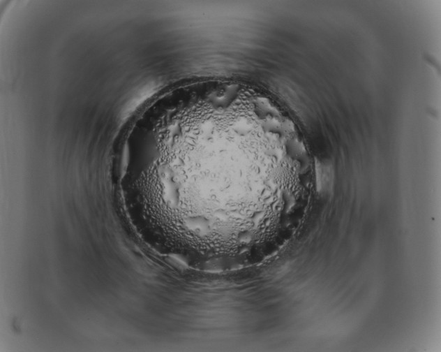 X0000091340675200708241223