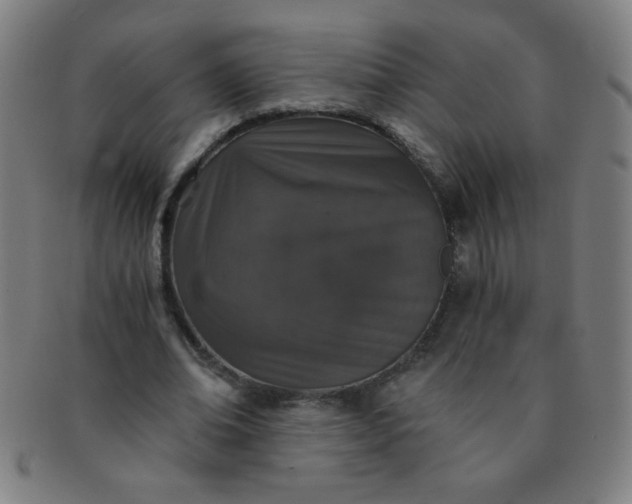 X0000091340678200708241223