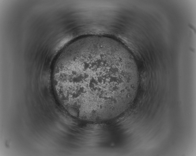 X0000091340679200708241223