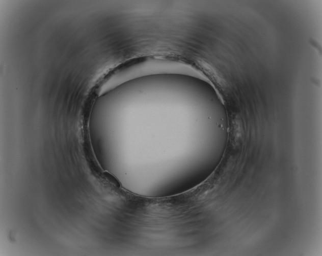 X0000091340680200708241223