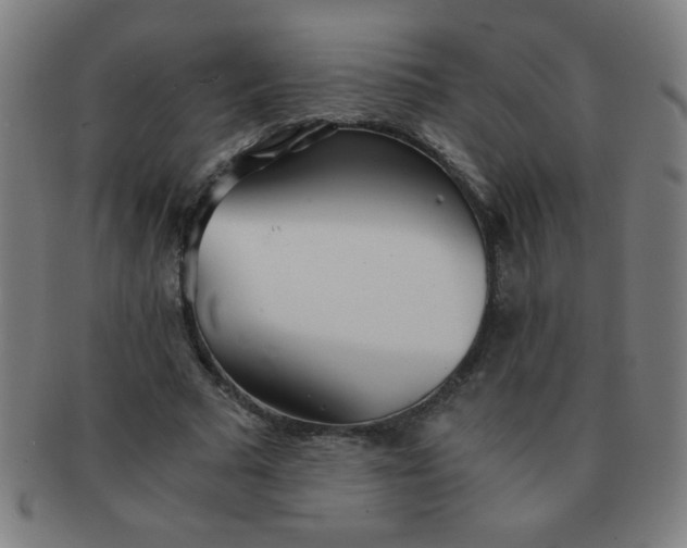 X0000091340681200708241223