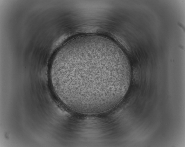 X0000091340682200708241223