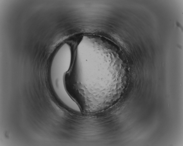 X0000091340683200708241223