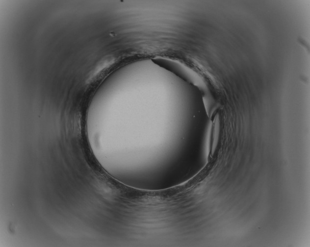 X0000091340685200708241223