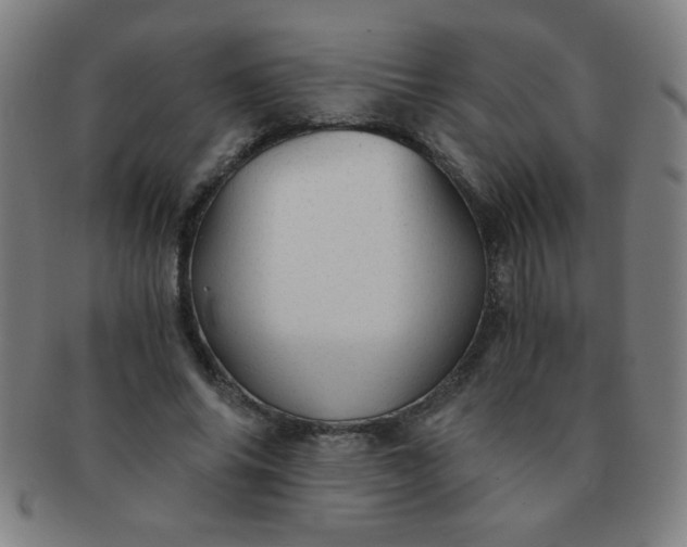 X0000091340686200708241223