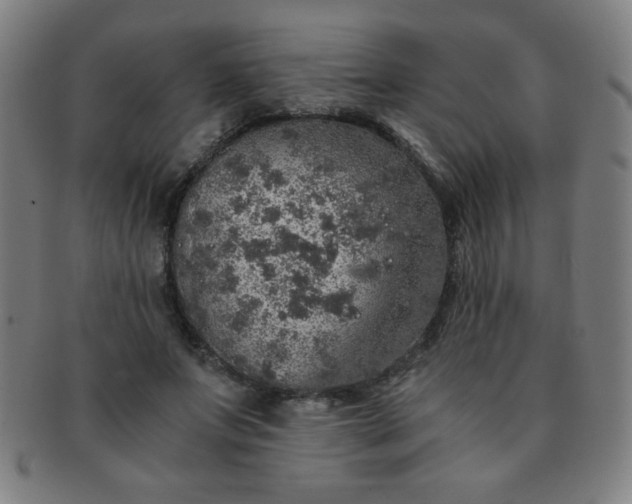 X0000091340687200708241223