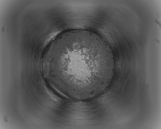 X0000091340688200708241223