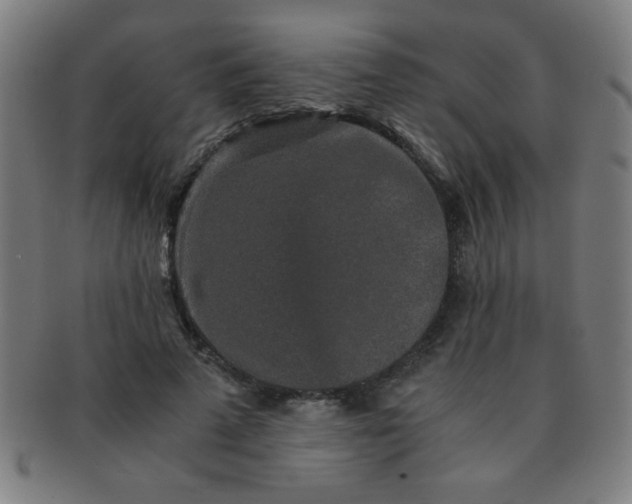 X0000091340689200708241223