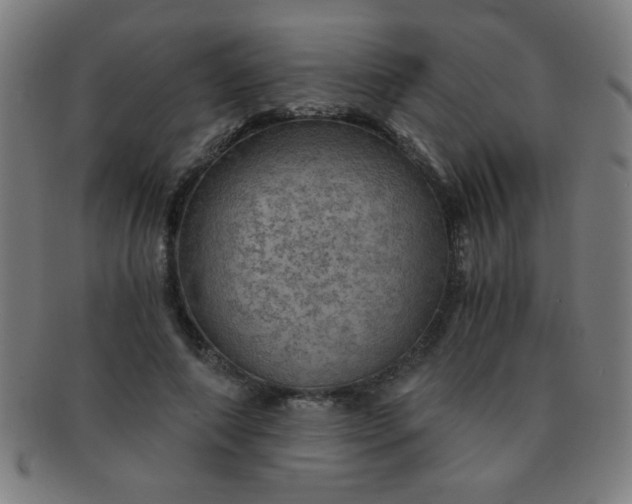 X0000091340690200708241223