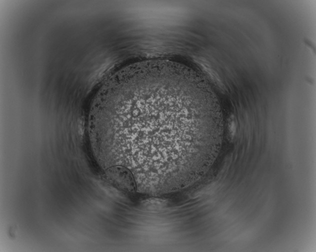 X0000091340691200708241223