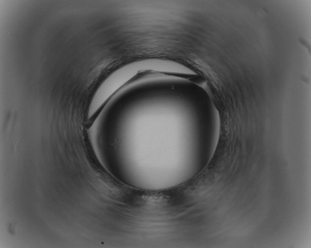 X0000091340693200708241223