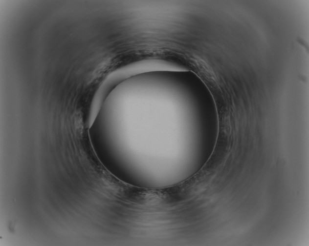 X0000091340697200708241223