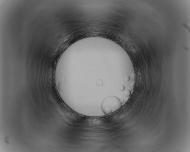 X0000091340698200708241223