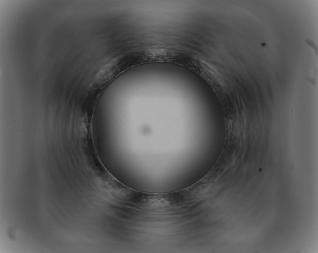 X0000091340702200708241223