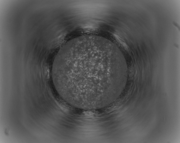 X0000091340703200708241223