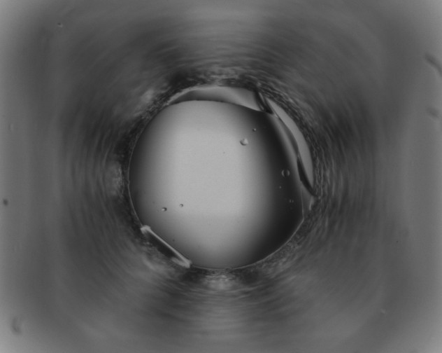 X0000091340704200708241223