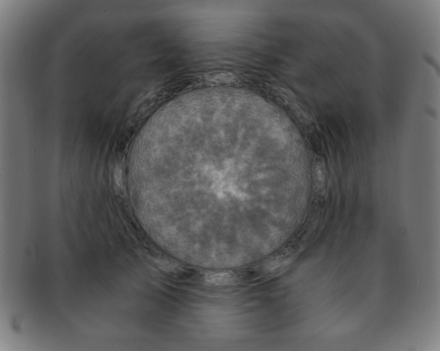 X0000091340705200708241223