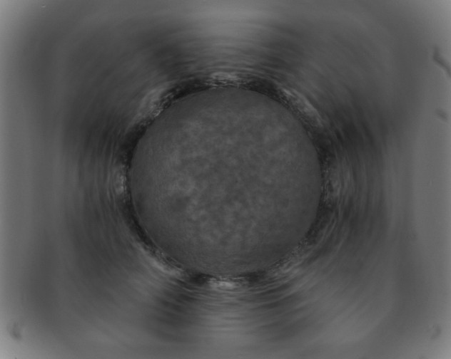 X0000091340706200708241223